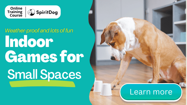 Indoor Games for Small Spaces